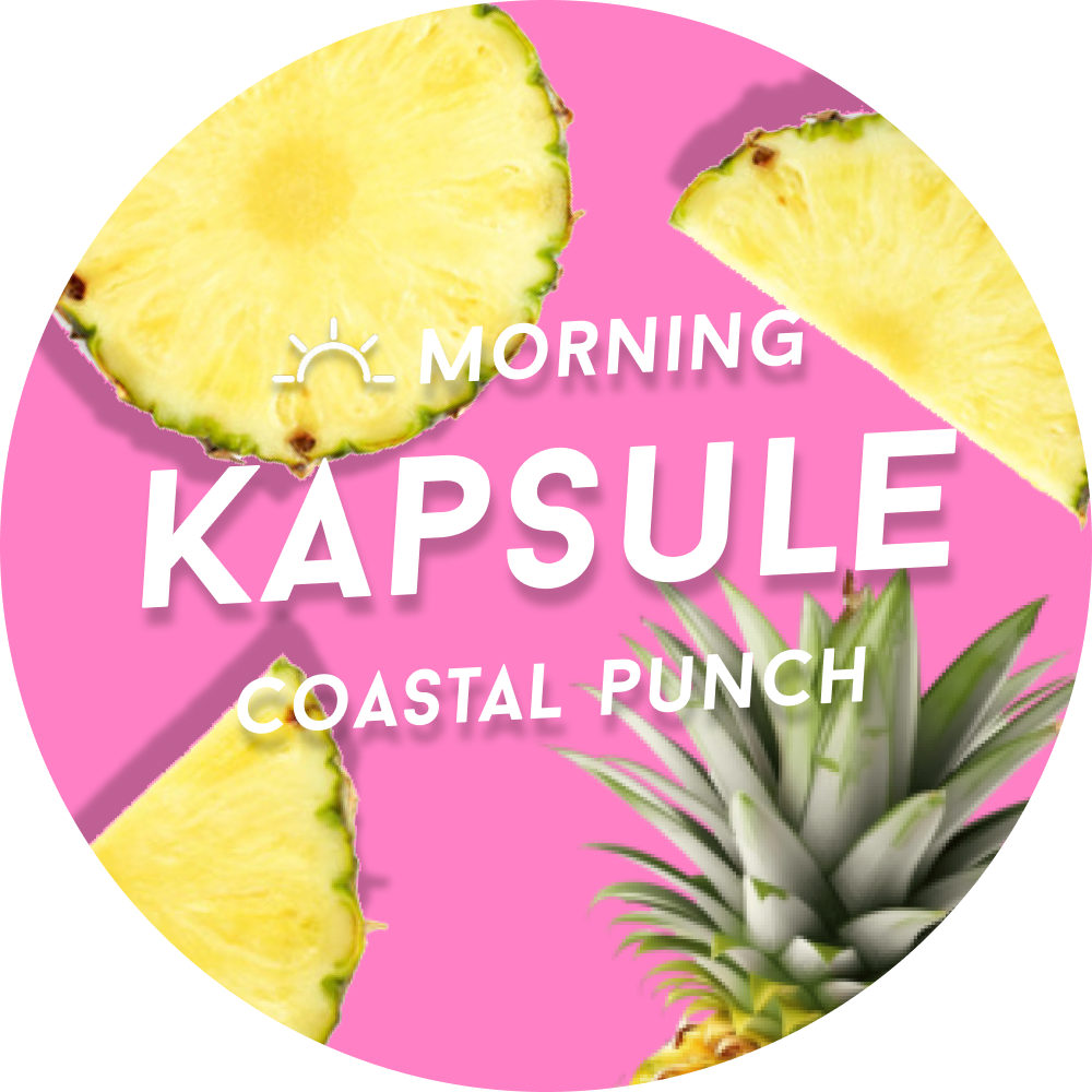 Starter Pack - Morning Coastal